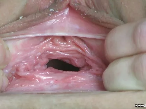 Brazzers: چانه زنی ب ...