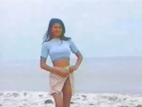 یک خروس انتقام جویان ...