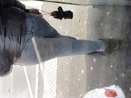 آلکسیس فاکس بالغ با  ...