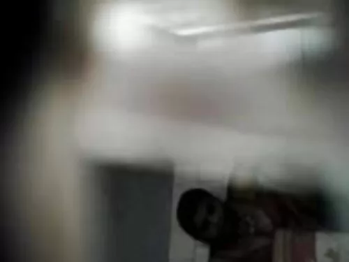 آلکسیس فاکس بالغ با  ...