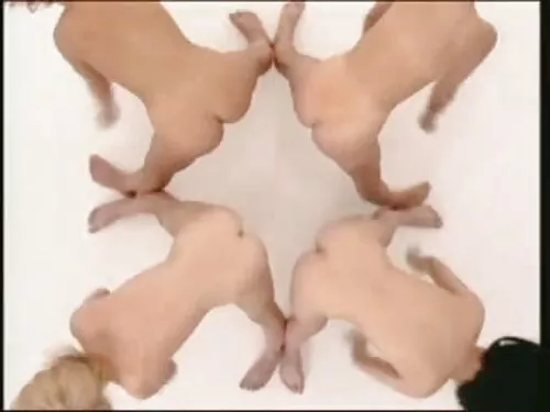 همسر غفلت شده جایزه  ...